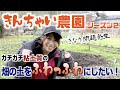 きんちゃい農園の土は問題だらけ…?春を前にじゃがいも畑の土作り!!
