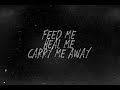 heal me - torn in black (lyrics)