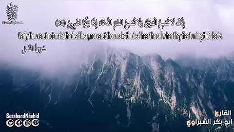 سورة ( النمل ) قوڕئان خوێن 💐 ابو بكر الشبراوي 🌺