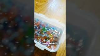 THE PIXELBITS ATE (day 5)