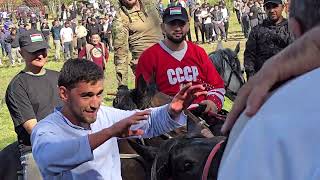 картинка: Бузкаши Раменское район деревни рыбалова 14 09 2025