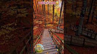 Yedigöller Mengen Bolu Doğanın Renkleri Yedigoller National Park Turkey