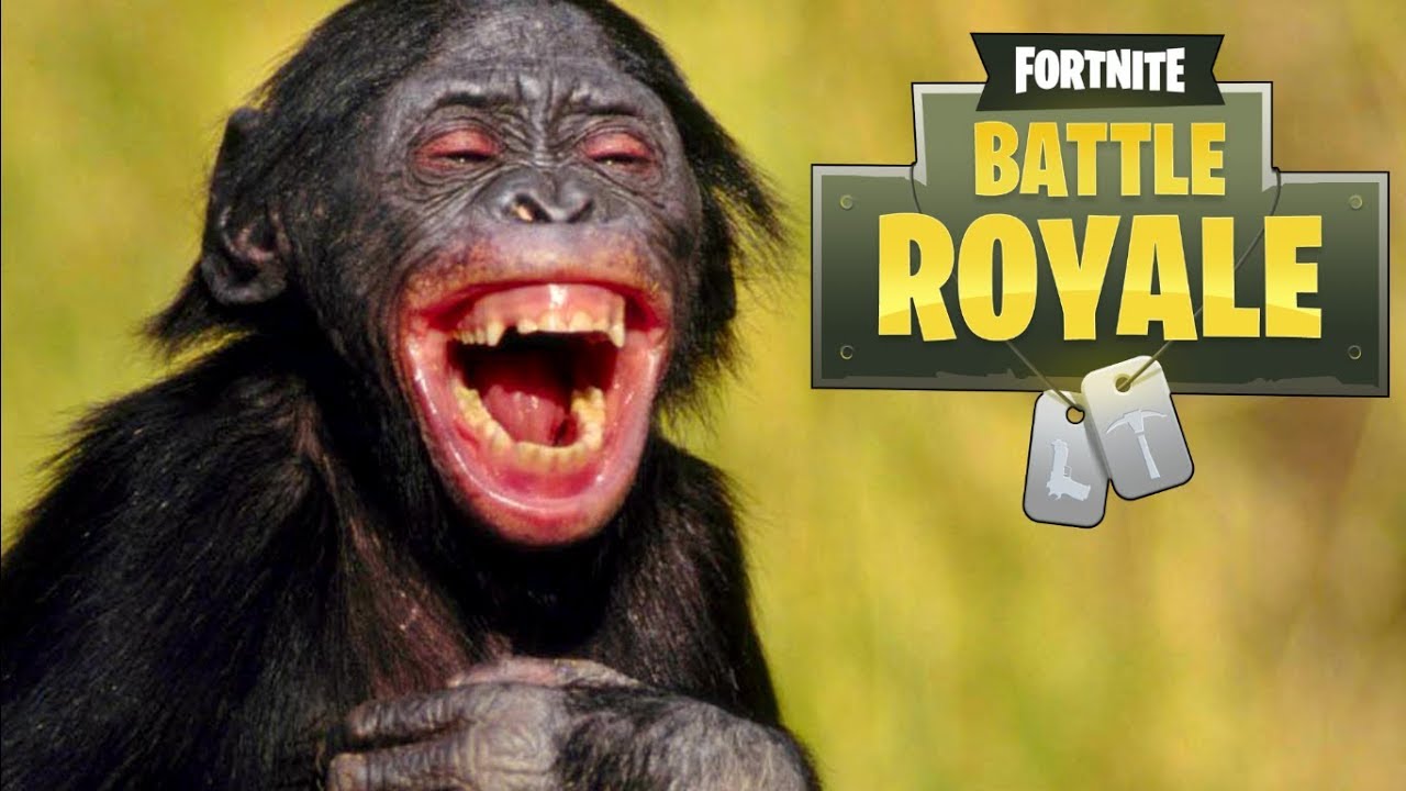 PTDR CETTE GAME C'EST LE PIRE ZOO POSSIBLE ! (BATTLE ROYALE EN SECTION)