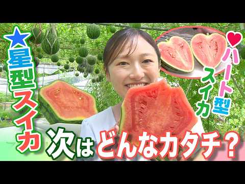 Star-shaped watermelon