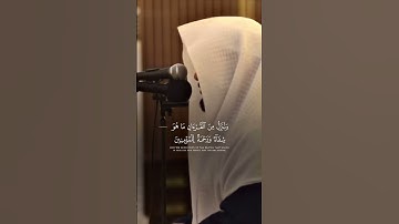 القارئ عبدالعزيز التركي.