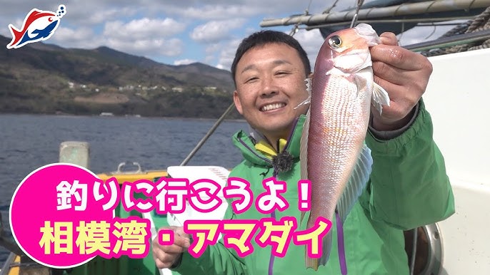 江ノ島沖 イナダ五目釣り ウィーリー Youtube 江ノ島沖 イナダ五目釣り ウィーリー Youtube