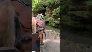 #shortvideos #wisconsin #wisconsindells #shorts #travel #may2026 #2026