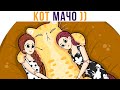 КРУТОЙ КОТ))) Приколы с котами | Мемозг 792