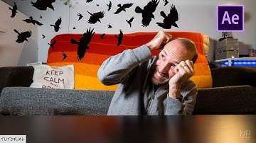 How to remove birds in a Timelapse in After Effects  | TUTORIAL