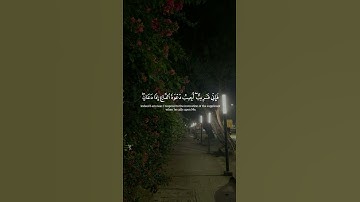 مِن سُورة البقرة | القارئ : أدهم نابلسي