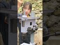 Bench drilling machine installation process~丨林果儿