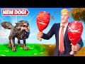 MrTop5 Trolled Me With WOLVES In Fortnite