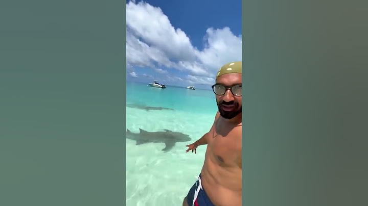 تجربة السباحة مع اسماك القرش 🦈