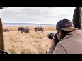 Using a wide angle lens on safari - Elephants - WILDLIFE PHOTOGRAPHY ON SAFARI