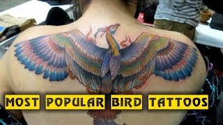 15 Most Popular Bird Tattoos TATTOO WORLD