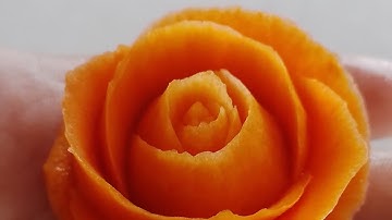 Hướng dẫn cách tỉa hoa // điêu khắc hoa hồng từ cà rốt