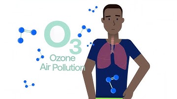 How Ozone Pollution Impacts Your Lungs
