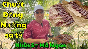 Trung Dũng| Chuột Đồng Nướng Sa Tế - Nhìn Sợ Mà Ngon Khó Tả.