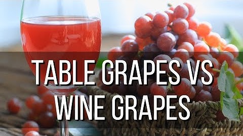 What is the Difference Between Table Grapes and Wine Grapes?