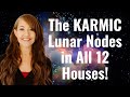 The LUNAR NODES in Astrology! The Karmic Influence of the Nodes in the Birth Chart!