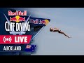Diving in auckland harbour  season finale new zealand  red bull cliff diving world series 2023