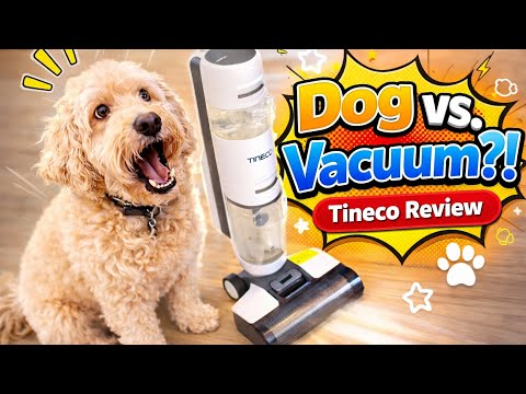 Why This Cordless Tineco Mop Vacuum is a Game Changer