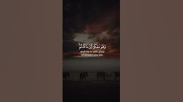 وهو معكم أين ما كنتم | سورة الحديد | شريف مصطفى 🤍