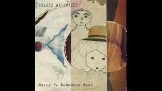 Watch Guided By Voices Males Of Wormwood Mars video