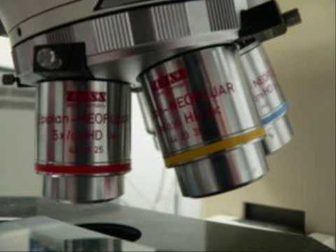 microscopios proyect 3 unidad quimica