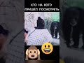 Животные отжигают!!