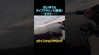 【ショアジギング】渋い中でダイブアサシン125Sで連発！……だけど…     #ショアジギング #青物 #釣り #ライトショアジギング #ルアーフィッシング #fishing #shorts