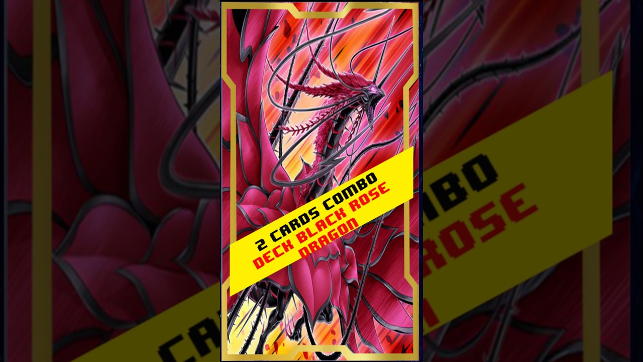 2 Cards Combo Black Rose Dragon, Post Doom of Dimensions, (Octubre 2025) |EdoPro| 