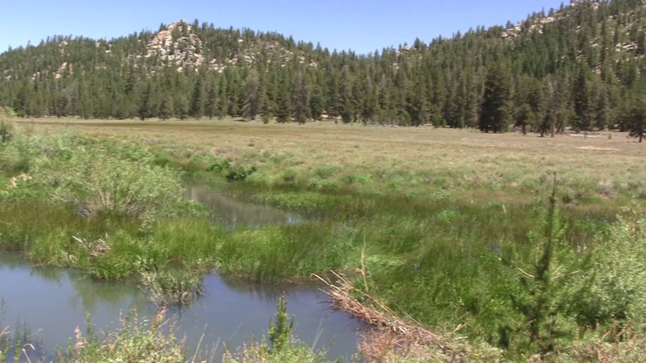 Troy Meadow Campground, CA from Warren K. YouTube