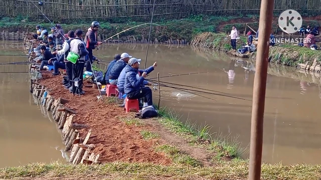 Thlum thlam dait ki dohkha por khwai nyngkong ha damang fishing pond