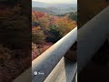 清水の舞台から飛び降りるyoutuber