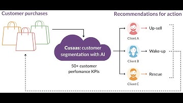Customer Segmentation as a Service (Cusaas)