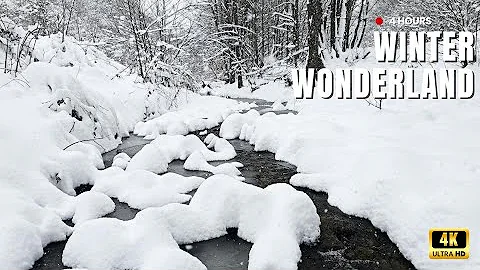 Relaxing Snowy Stream Sounds for Sleep, Study & Stress Relief | 4K UHD Nature Video - 4 Hours