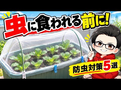 [Must-See for Beginners] Pest Control for Home Gardens! 5 Essential Methods You Should Start With...
