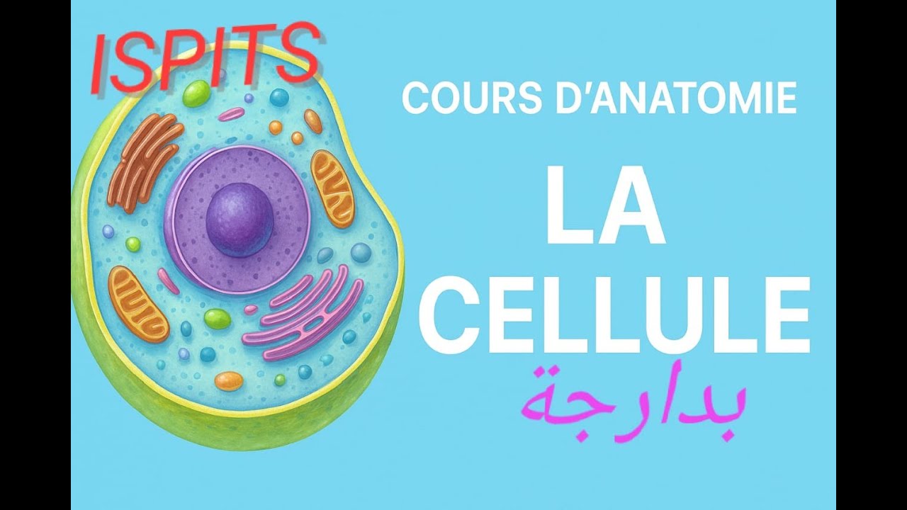 Cours d’anatomie – La cellule (pour étudiants en médecine, soins infirmiers ispits et biologie)
