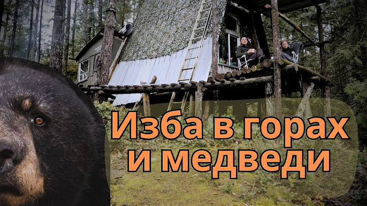Нашли лесную избу в горах и встретили медведей!
