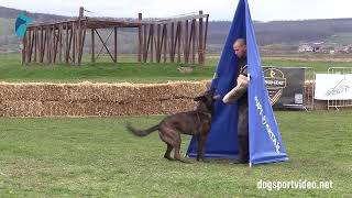 WDSF 2023 IGP  -  Giacomo Prandina &amp; One Shot des Soldats de Krist Ale - Italy