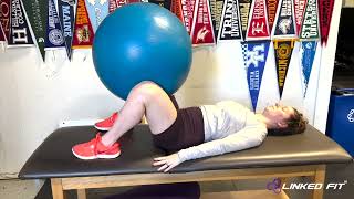 Supine Hook Lying Physioball Adductor Squeeze