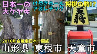 天童市　山形市　東根市　寒河江市　ママチャリ26インチ　 自転車整備士が整備 2010年】自転車日本一周の思い出 #40 日本一の大ケヤキ！けやきホール