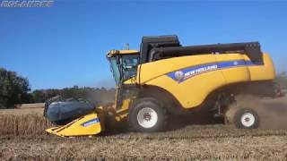 New Holland Cx5090 Hillside Az. Agr. Ruggieri - Harvest Season 2019-