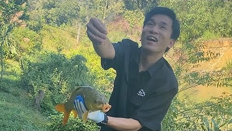 TruongThanhvlog | vì sao câu cá lại có thể gây nghiện ?