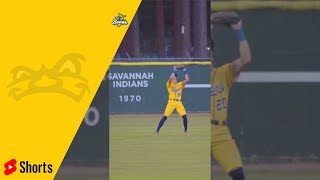 Pop fly Trick Catch