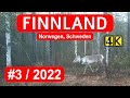 Finnland, Norwegen, Schweden 2022 - #3 - Wandern in schönster Natur und Rentiere