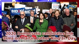 2020 Democratic candidates link arms on Martin Luther King Jr. Day