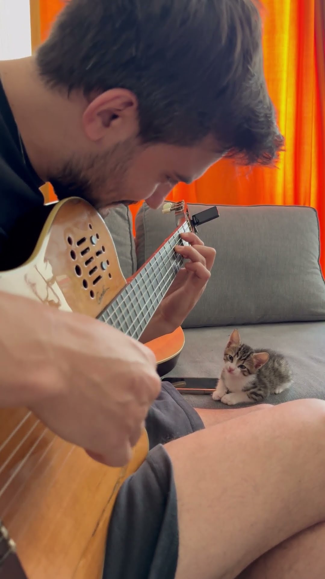 Man Plays Guitar to Adorable Kitten as It Drifts Off to Sleep