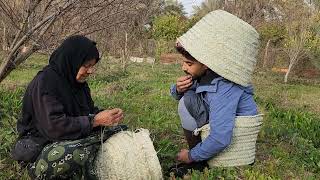 حياة الريف العراق صلاح الدين ناحية الحجاج